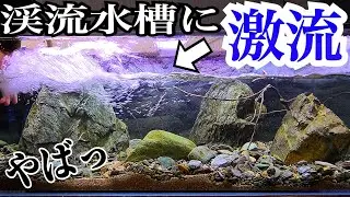 渓流水槽に激流を作ったらアヒルが流されました。