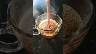 Ginger Cardamom Chai Recipe.How To Make Ginger Cardamom Chai.Healthy And Refreshing Chai  #shorts