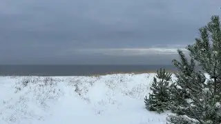 LIVE: Snowy Winter Ocean 🌊❄️ 12 Hours of Cold Beach Waves for Sleep & Relaxation