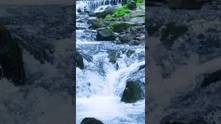 🌿 Calm and Relaxing Music for Stress Relief 🌿 #10