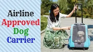 Airline Approved Dog Carrier 2019