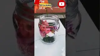 Hanging Bottle creativ #ytshorts #shorts#sprock99 #creativthings