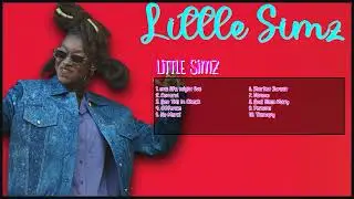 Little Simz-Hits that set the bar in 2024-Superlative Hits Lineup-Momentous