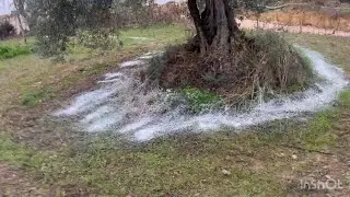 Misurazione 🧐 Ph  e Concimazione  Improvvisata con Calce Idrata 🧙&zwj;♂️