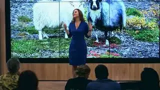7 Why VCs and Angel Investors Say No to entrepreneurs Alicia Syrett