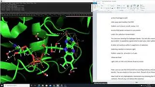 PyMol Measuring Distance with Hydrogen Bonding Interactions 2020 11 11