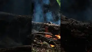 Camping Rain In The Forest - My shelter #bushcraft