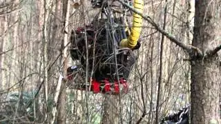 Tree thinning operation in Finland