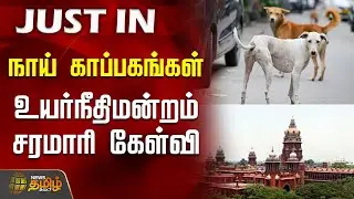 நாய் காப்பகங்கள் - உயர்நீதிமன்றம் சரமாரி கேள்வி | Stray Dog Bite | Dog shelters | Chennai High Court