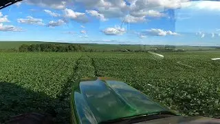 Aproveitando as brechas no meio de uma semana de chuva