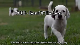 Old Dominion Hounds -- 1924-2024 - A Centennial Celebration