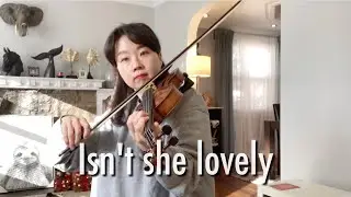 Isn’t she lovely -Stevie Wonder, violin viola cover 바이올린 커버