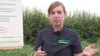 Crops and Cultivation 2017 - Leona Murphy