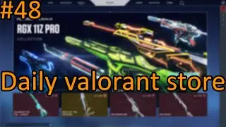 Daily valorant store - I got Ion Operator & Relic of the Sentinel (Day48)