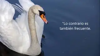 frases para reflexionar