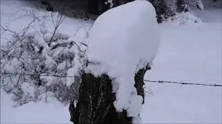 LA NEVE DELLA SILA BY TONINO PARISI