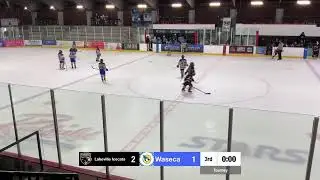 Lakeville IceCats Vs. Waseca