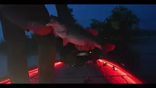 Sam Rayburn Big Bass 18-20 Apr 2025