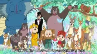 Dr. Pinoko's Forrest Adventure