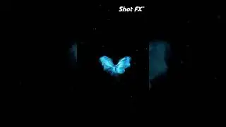 magic butterfly