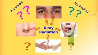 AERB Awareness in Hindi Diagnostic Radiology Practice