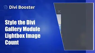 Style the Divi Gallery Module Lightbox Image Count