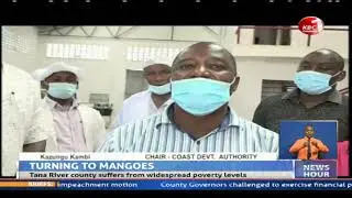Hola integrated factory to start commercial production of mango juice