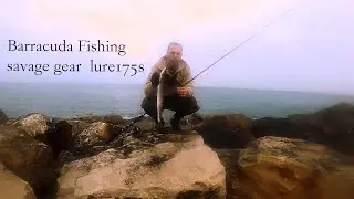 הדרכה לדיג  ברקודות