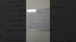 DMLT (MCQs)