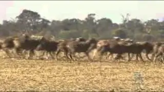Farmers parched after dry winter