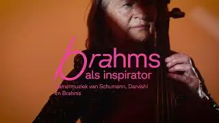 Phion Brahms | ZO 8 FEB in De Voorveghter