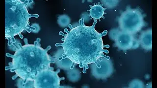 MOM I HAD A COMPUTER VIRUS