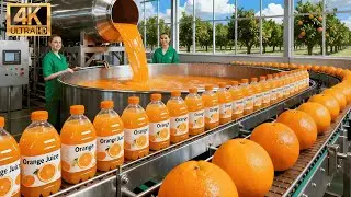 Inside a Modern Juice Factory: From Fresh Oranges to Pure Orange Juice (Full Process)