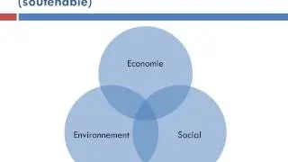Comment l'analyse économique conçoit-elle la préservation de l'environnement ?