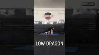 Low Dragon