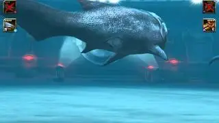 ,aquatic battle and level 31 dipocaulus what