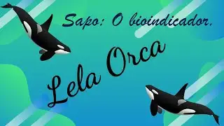 SAPO: O BIOINDICADOR