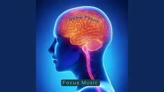Deep Focus 8