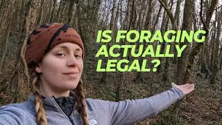What can you LEGALLY forage? | Law of Foraging England and Wales