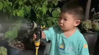 宝宝浇花，妈妈的认真浇，自己的蓝莓浇到涝，爸爸的就意思浇一下#阳台花园 #能干的娃 #养花人