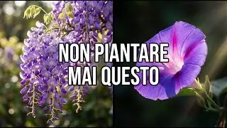 10 Piante Pericolose di cui Nessuno Vi Avverte Prima dell'Acquisto