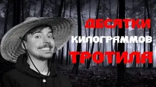 Десятки килограмм тротила
