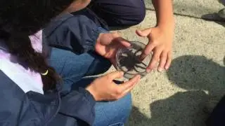 Programa de  Educaci&oacute;n Ambiental- FAHHO:  LA SALLE