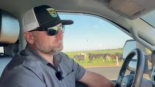 Idaho Dairy Farm Goes Organic to Survive Economic Downturn