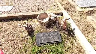 Fading Footsteps at CEDAR PARK CEMETERY