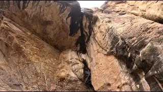 Willow Spring Loop