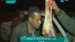 صبايا الخير | فيديو حصري لصبايا الخير أثناء ذبح و بيع 600 كيلو لحم حمير بالجيزة لنشرها بالأسواق..!