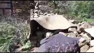 House Damaged Due To Rainstorm | Fort Munro| DGkhan | 2022