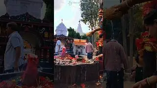 Jay Maa Manikeswari ||MAA||#manikeswari #maa #bhabanipatna