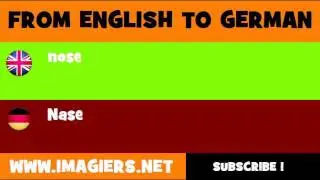 FROM ENGLISH TO GERMAN = nose